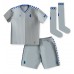 Maillot de foot Everton Ashley Young #18 Troisième vêtements enfant 2023-24 Manches Courtes (+ pantalon court)